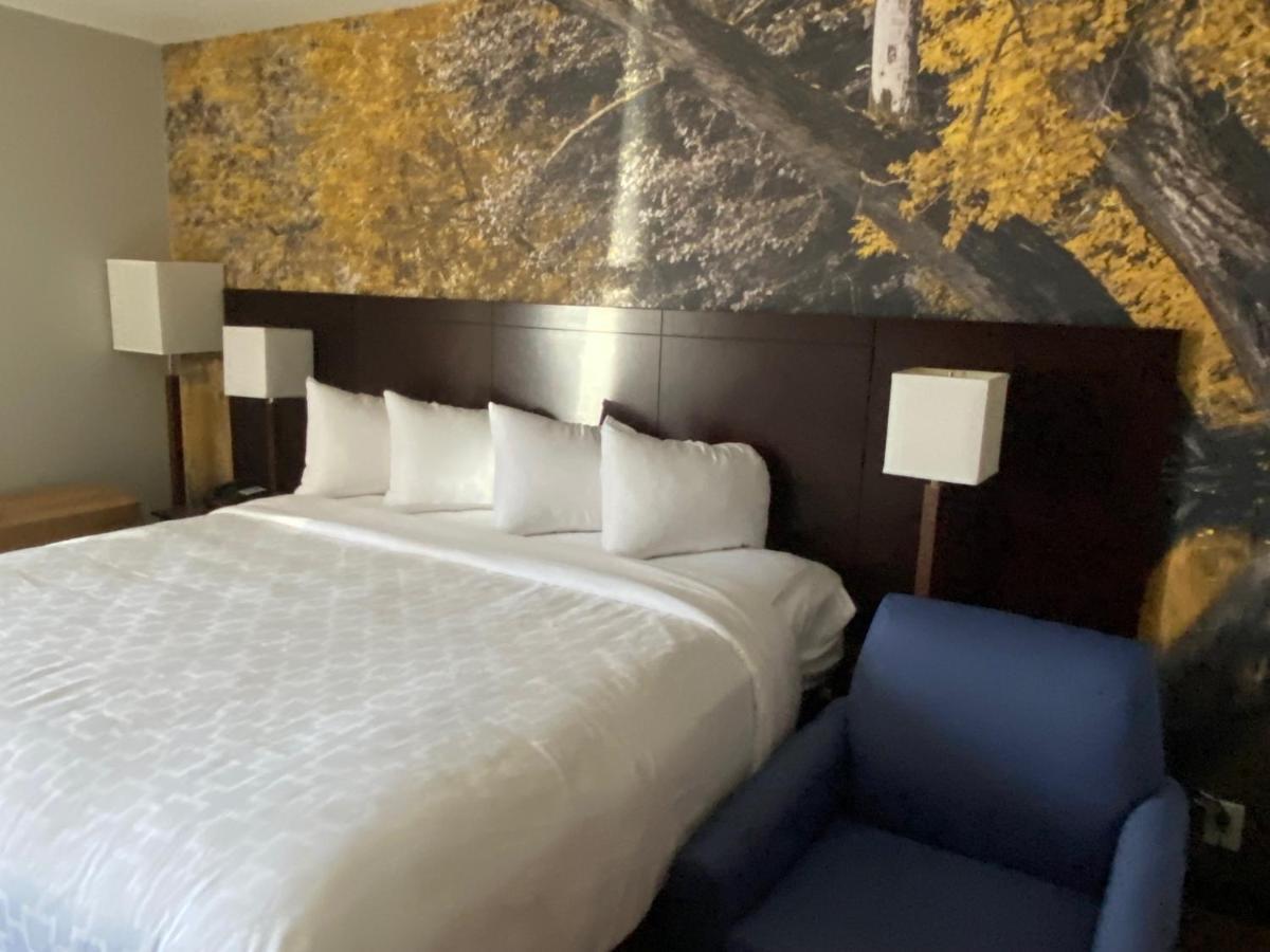 Clarion Pointe Hotel อาบิงดอน ภายนอก รูปภาพ